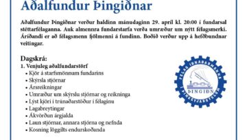 Aðalfundur Þingiðnar