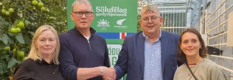 Nýtt fréttabréf er komið út!