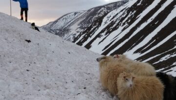 Jólakveðja stéttarfélaganna