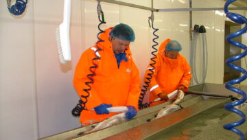 Bakkavík og Framsýn funda um landeldi