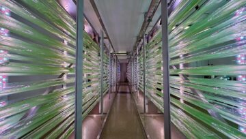 Athyglisvert starf auglýst