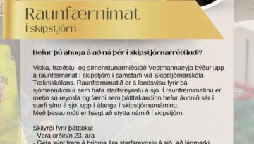 Raunfærnimat í skipstjórn